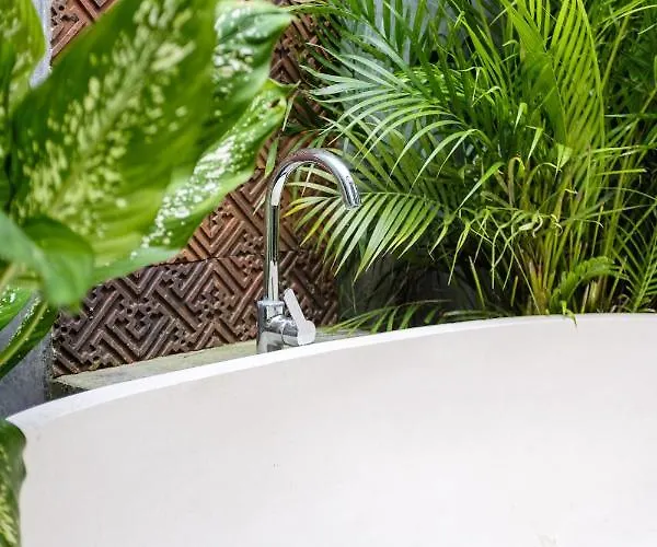 Baby Melon Guest house *